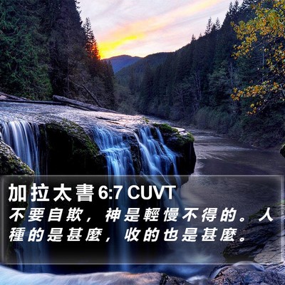 加 拉 太 書 6:7 CUVT Bible Verse Image