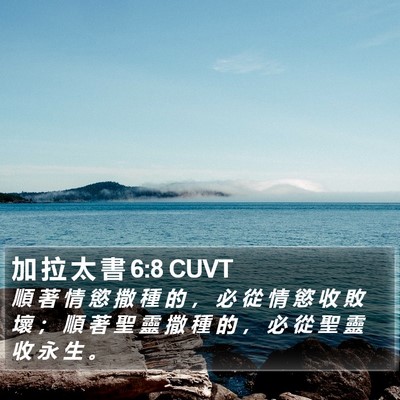 加 拉 太 書 6:8 CUVT Bible Verse Image