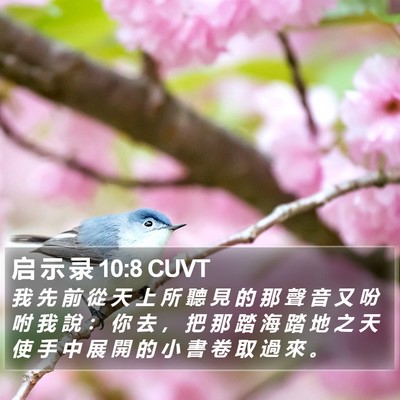 启 示 录 10:8 CUVT Bible Verse Image