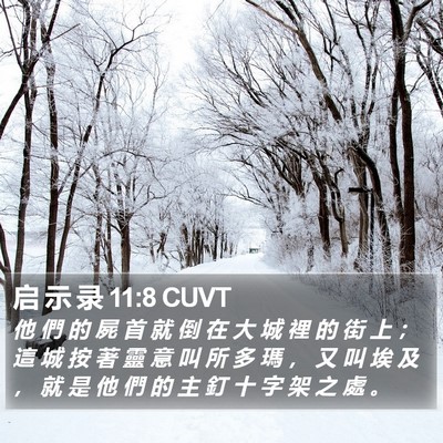 启 示 录 11:8 CUVT Bible Verse Image