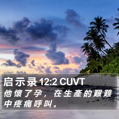 启 示 录 12:2 CUVT Bible Verse Image