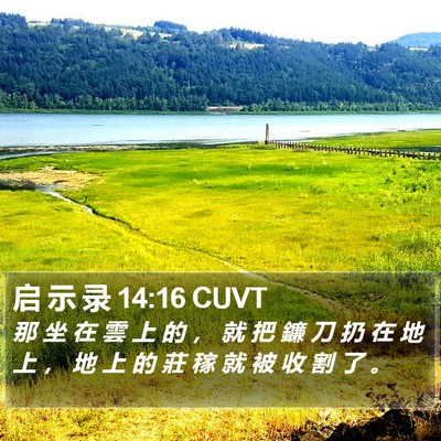 启 示 录 14:16 CUVT Bible Verse Image