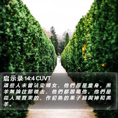 启 示 录 14:4 CUVT Bible Verse Image
