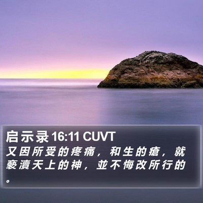 启 示 录 16:11 CUVT Bible Verse Image