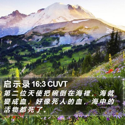 启 示 录 16:3 CUVT Bible Verse Image