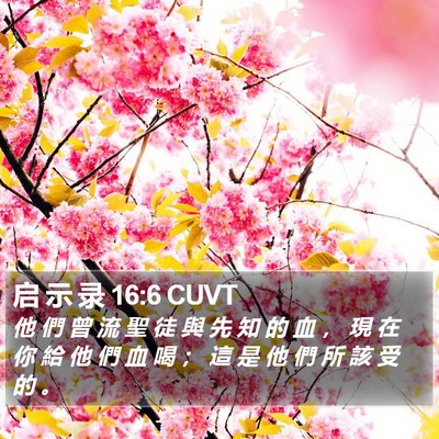 启 示 录 16:6 CUVT Bible Verse Image