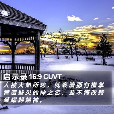 启 示 录 16:9 CUVT Bible Verse Image