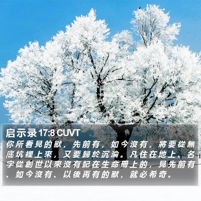 启 示 录 17:8 CUVT Bible Verse Image