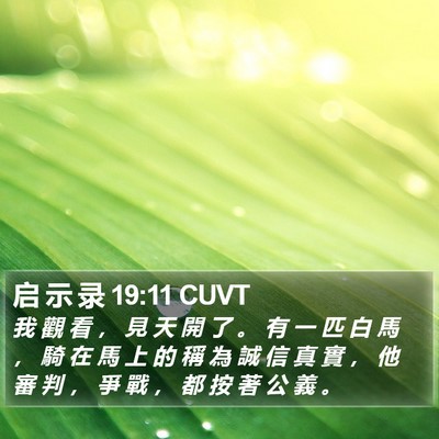 启 示 录 19:11 CUVT Bible Verse Image