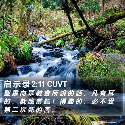 启 示 录 2:11 CUVT Bible Verse Image