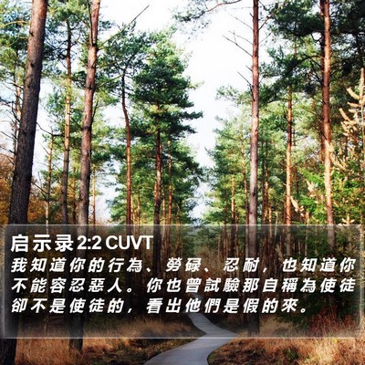 启 示 录 2:2 CUVT Bible Verse Image
