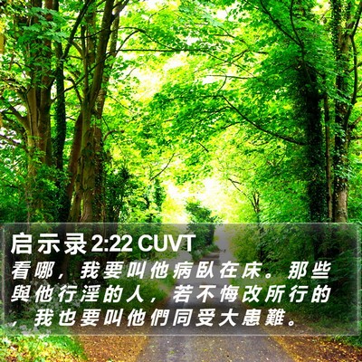 启 示 录 2:22 CUVT Bible Verse Image