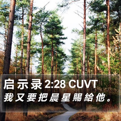 启 示 录 2:28 CUVT Bible Verse Image