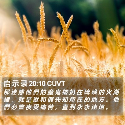 启 示 录 20:10 CUVT Bible Verse Image