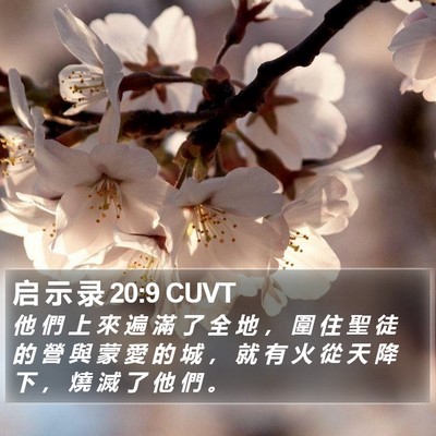 启 示 录 20:9 CUVT Bible Verse Image