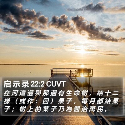 启 示 录 22:2 CUVT Bible Verse Image