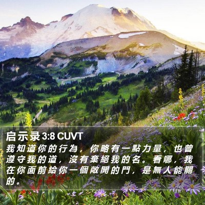 启 示 录 3:8 CUVT Bible Verse Image