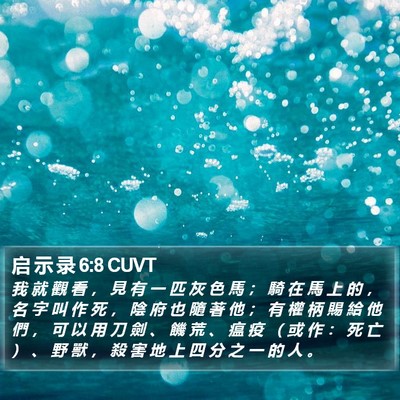 启 示 录 6:8 CUVT Bible Verse Image
