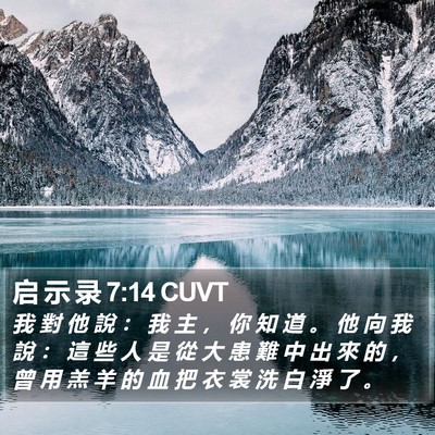 启 示 录 7:14 CUVT Bible Verse Image