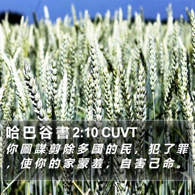 哈 巴 谷 書 2:10 CUVT Bible Verse Image