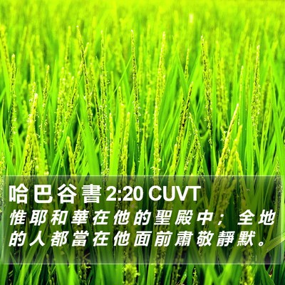 哈 巴 谷 書 2:20 CUVT Bible Verse Image