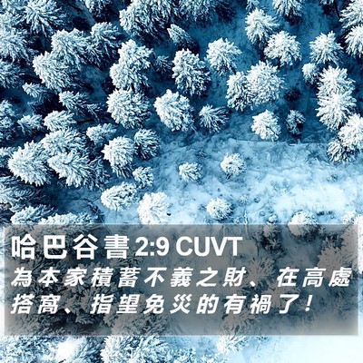 哈 巴 谷 書 2:9 CUVT Bible Verse Image