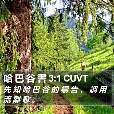 哈 巴 谷 書 3:1 CUVT Bible Verse Image