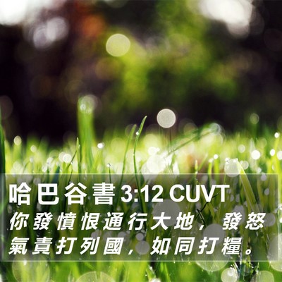 哈 巴 谷 書 3:12 CUVT Bible Verse Image