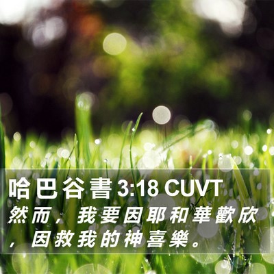 哈 巴 谷 書 3:18 CUVT Bible Verse Image
