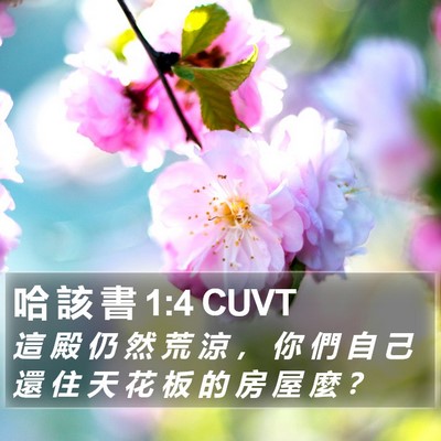 哈 該 書 1:4 CUVT Bible Verse Image