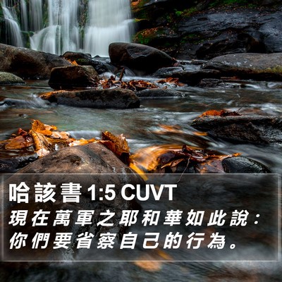 哈 該 書 1:5 CUVT Bible Verse Image