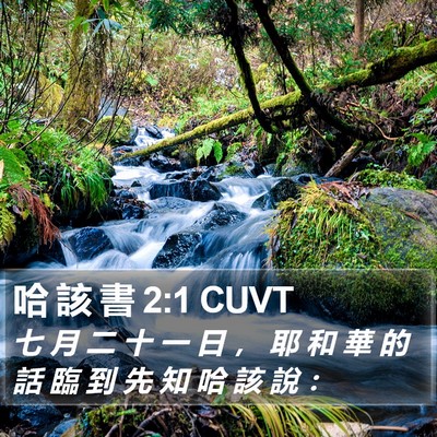 哈 該 書 2:1 CUVT Bible Verse Image