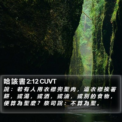 哈 該 書 2:12 CUVT Bible Verse Image