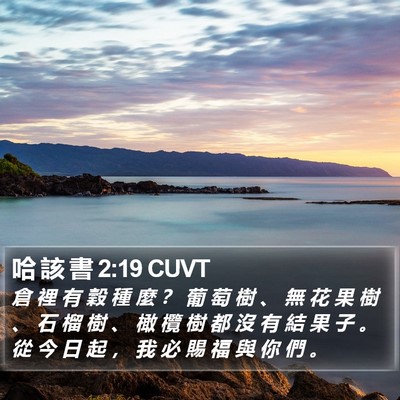 哈 該 書 2:19 CUVT Bible Verse Image