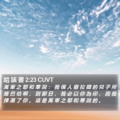 哈 該 書 2:23 CUVT Bible Verse Image