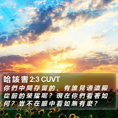 哈 該 書 2:3 CUVT Bible Verse Image