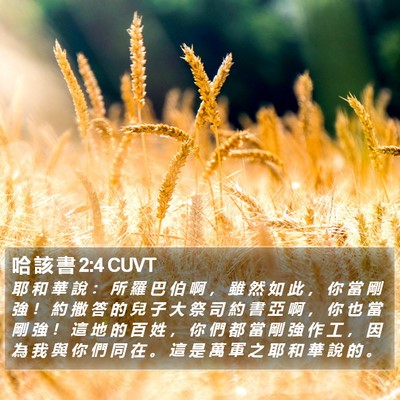 哈 該 書 2:4 CUVT Bible Verse Image