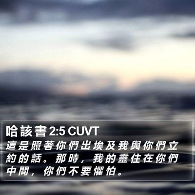 哈 該 書 2:5 CUVT Bible Verse Image