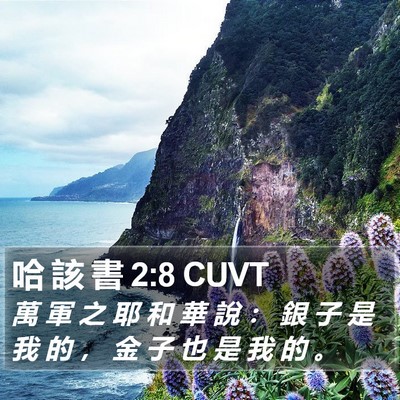 哈 該 書 2:8 CUVT Bible Verse Image
