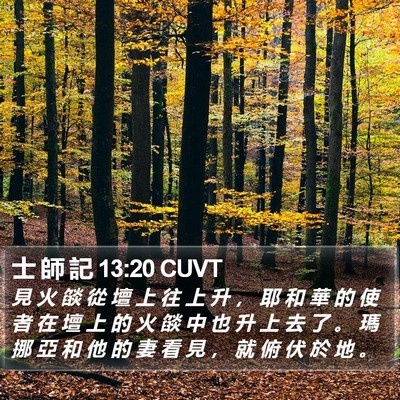 士 師 記 13:20 CUVT Bible Verse Image