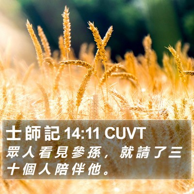 士 師 記 14:11 CUVT Bible Verse Image