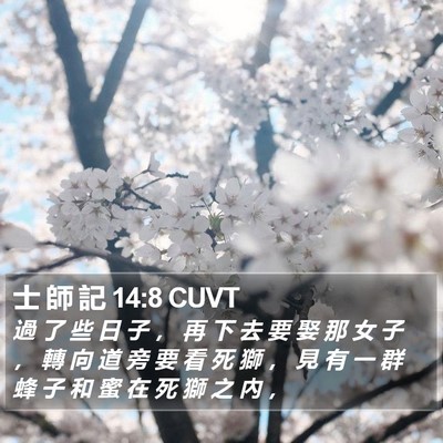 士 師 記 14:8 CUVT Bible Verse Image