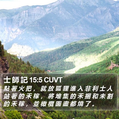 士 師 記 15:5 CUVT Bible Verse Image