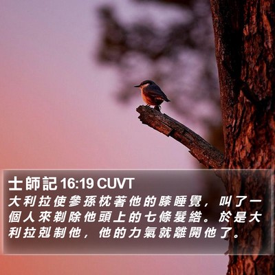 士 師 記 16:19 CUVT Bible Verse Image