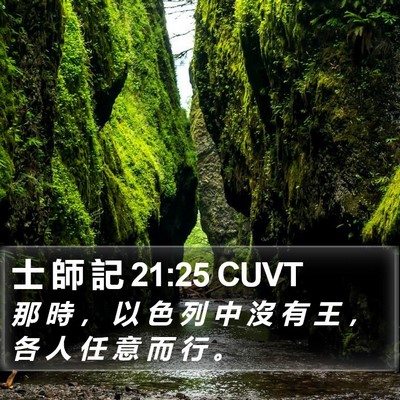 士 師 記 21:25 CUVT Bible Verse Image
