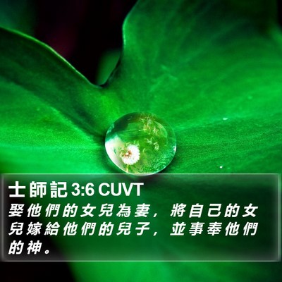 士 師 記 3:6 CUVT Bible Verse Image