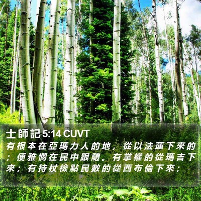 士 師 記 5:14 CUVT Bible Verse Image