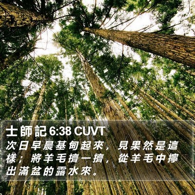 士 師 記 6:38 CUVT Bible Verse Image