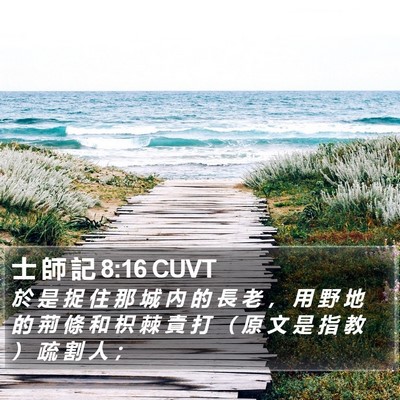 士 師 記 8:16 CUVT Bible Verse Image