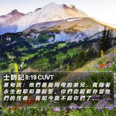 士 師 記 8:19 CUVT Bible Verse Image